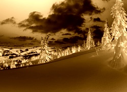 Sepia + Negatyw