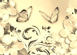 Szary + Sepia