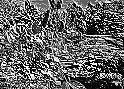 Skamielina