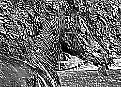 Skamielina