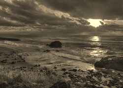 Sepia