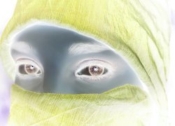 Negatyw