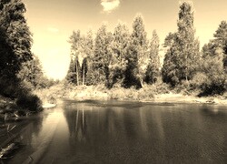 Szary + Sepia