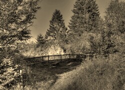 Szary + Sepia