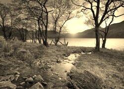 Szary + Sepia