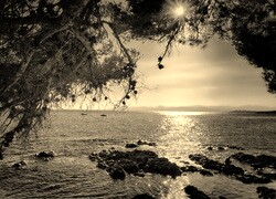 Sepia