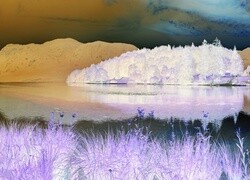Negatyw
