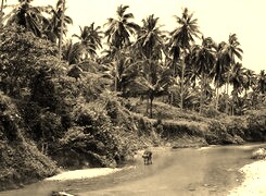 Sepia
