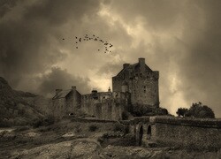 Szary + Sepia
