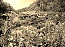 Szary + Sepia