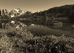 Szary + Sepia