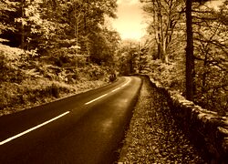 Sepia
