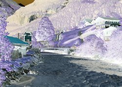 Negatyw