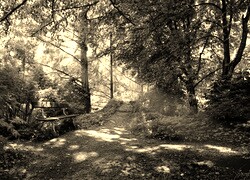 Szary + Sepia