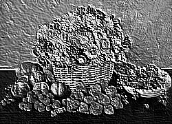 Skamielina