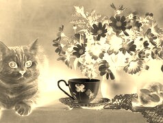 Sepia + Negatyw
