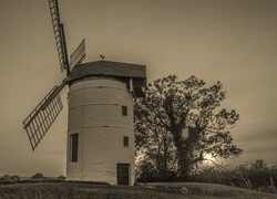 Szary + Sepia