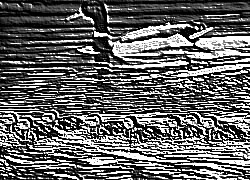 Skamielina