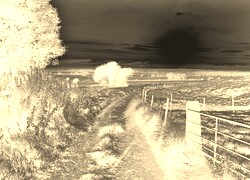 Sepia + Negatyw