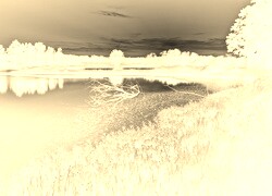 Sepia + Negatyw