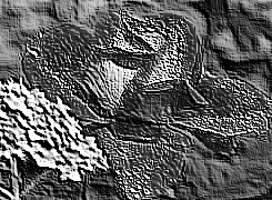 Skamielina