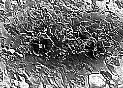 Skamielina