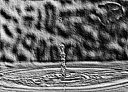Skamielina