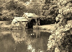 Szary + Sepia