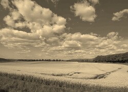 Szary + Sepia