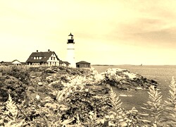 Szary + Sepia