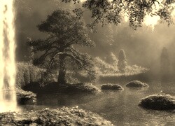 Szary + Sepia