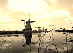 Szary + Sepia