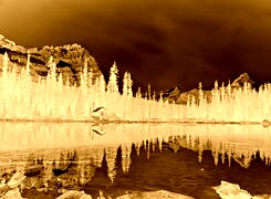 Sepia + Negatyw