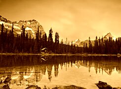 Sepia