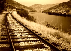 Sepia