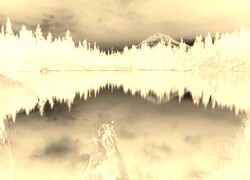 Sepia + Negatyw