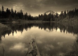 Szary + Sepia