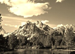 Sepia