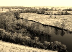Sepia