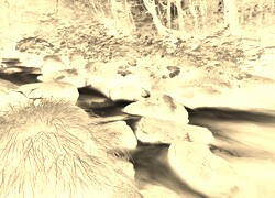 Sepia + Negatyw