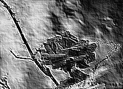 Skamielina