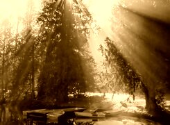 Sepia