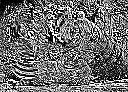 Skamielina