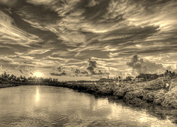 Szary + Sepia