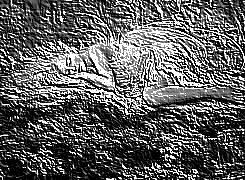 Skamielina