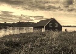 Szary + Sepia