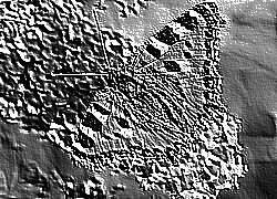Skamielina