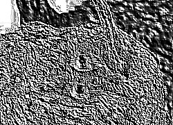 Skamielina