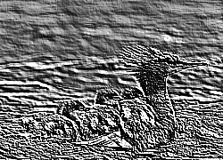 Skamielina
