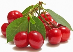 Oryginalny obrazek